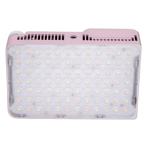 amaran-Ace-25x-pink_1.jpg