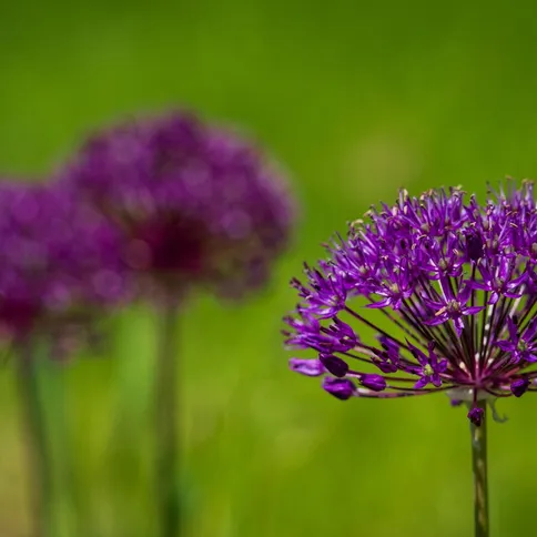 8Tamron_70-180mm_F2.8_Di_III _VC_VXD_G2_Nikon_Z_mount.jpg