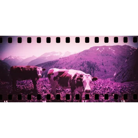 Lomography-Sprocket-Rocket-Camera-Bittersweet_8.jpg