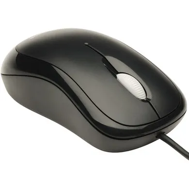 basic-muis4.jpg
