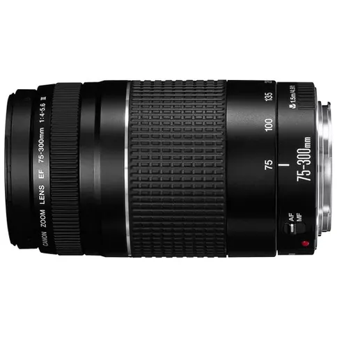 canon-75-300_1.jpg