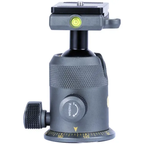 Vanguard_AltaBH250_Balhoofd_foto3.JPG