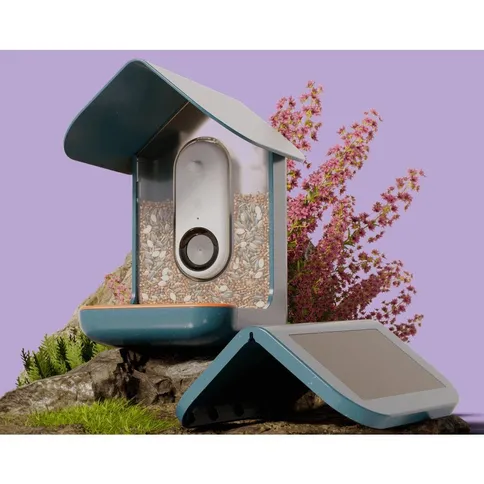 Bird-Buddy-Smart-Bird-feeder-with-solar-panel_6.jpg