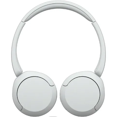 whch520-wit2.jpg
