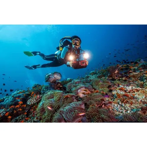 SeaLife-Sea-Dragon-Duo-10K-Color-Boost-set_6.jpg