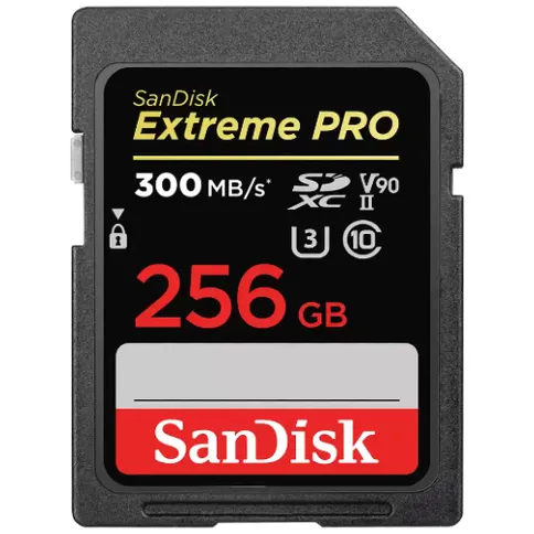SanDisk_ExtremePro_256GB_300MBs.jpg