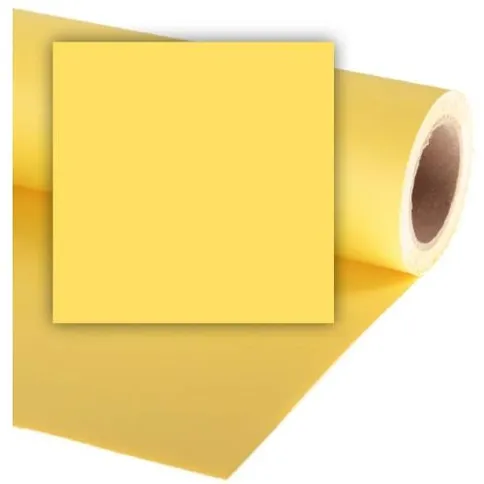 colorama-studio-background-dandelion.jpg