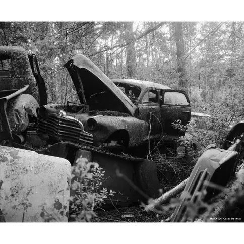 CineStill-BWxx-Double-X-negative-120_5.jpg