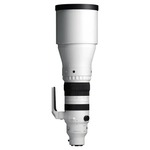 Sigma-300-600mm-f4-DG-OG-sports_01.webp