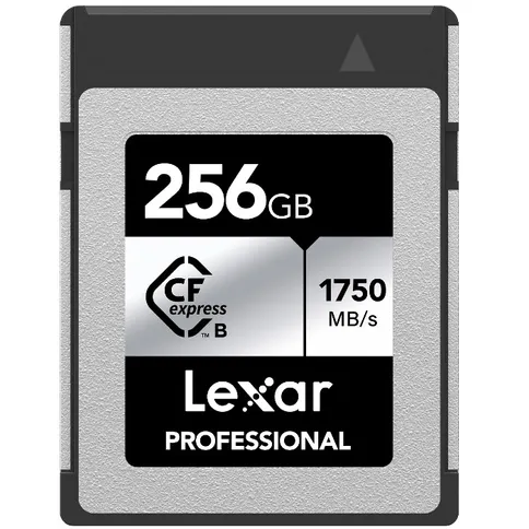 lexar_256_1.jpg