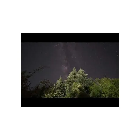 hoya-1.jpg