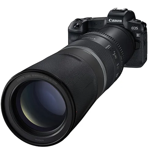 RF 800mm F11 IS STM With EOS R FSL.jpg