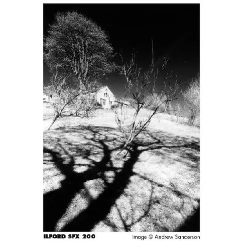 ilford-sfx-200-120-3.jpg