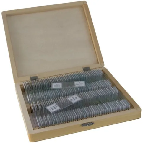 Bresser_microscoop_preparaten_100.jpg