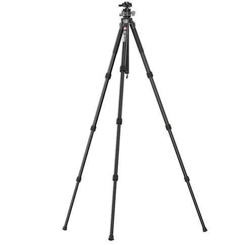 12525382-6.jpg