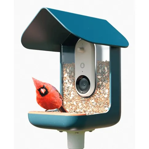 Bird-Buddy-2-0-Smart-Bird-feeder-with-solar-panel_2.jpg