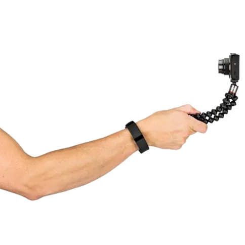 12234638_1e.png