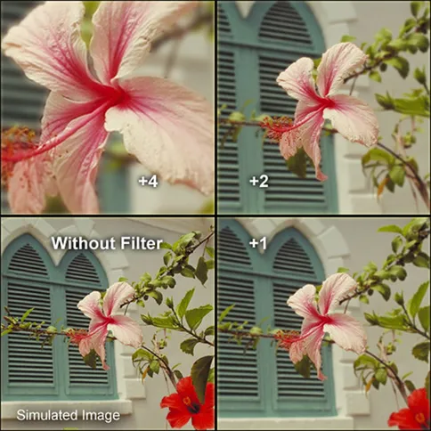 Hoya Close-Up filter set HMC II_5.jpg