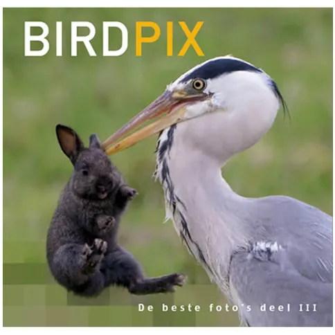 Pixfactory_Birdpix3_Debestefoto's.JPG
