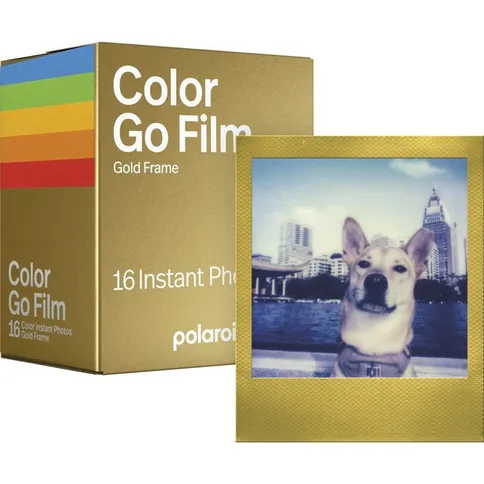 Polaroid-GO-Color-DP-Instantfilm-2x8-gold-frame_1.jpg