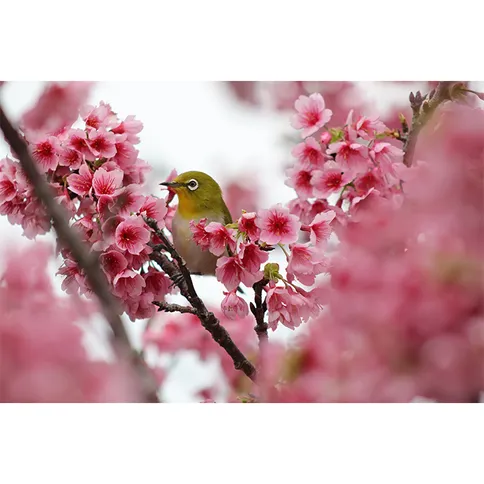 Canon_RF_75_300_foto12.jpg