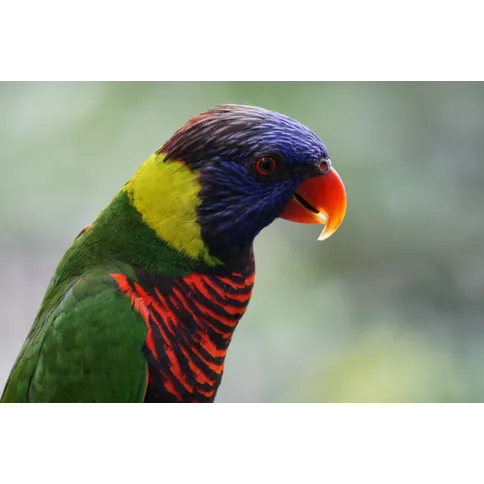 Sony E 55-210mm F45-63 OSS voorbeeldfoto.jpg