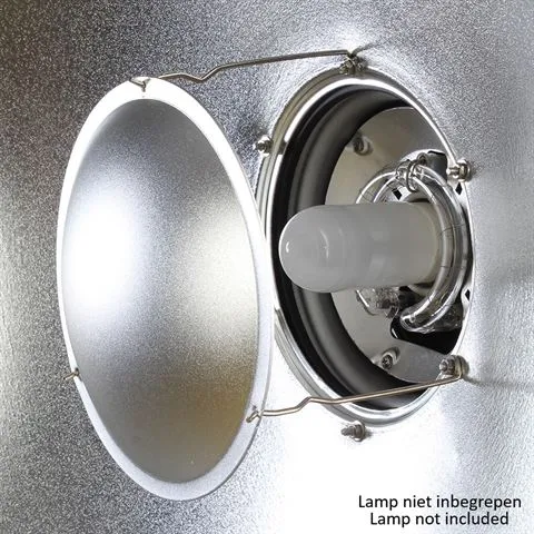 studioking-beauty-dish-zilver-6.jpg