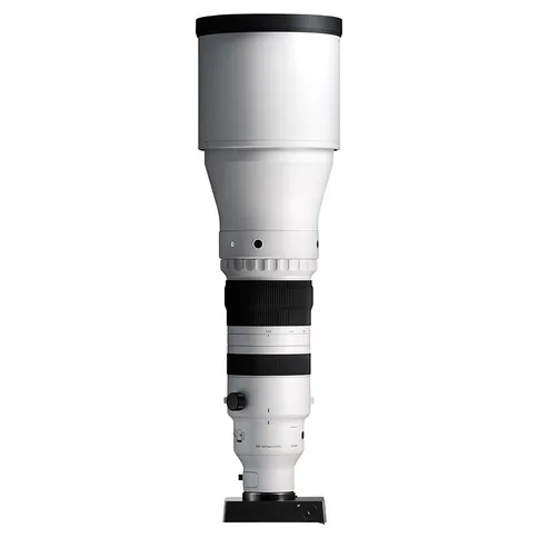 Sigma-300-600mm-f4-DG-OG-sports_12.webp