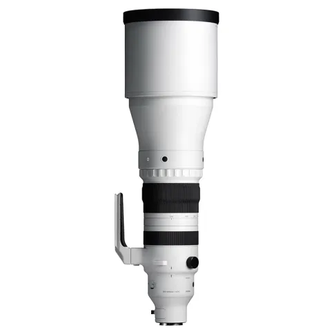 Sigma-300-600mm-f4-DG-OG-sports_02.webp
