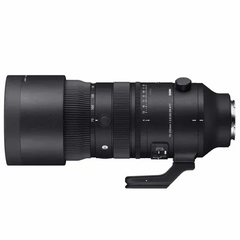 Sigma_70_200_2.8_2.jpg