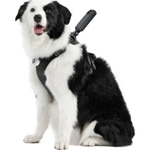INSTA360-Pet-Harness-Mount-Size-L_4.jpg