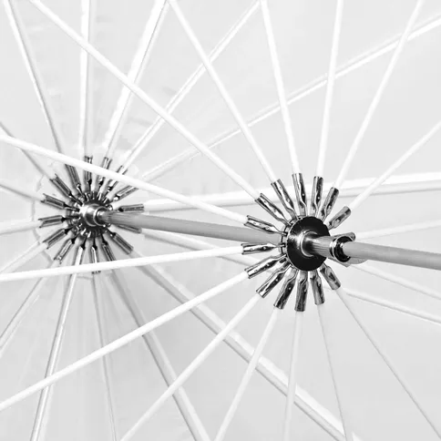 12208446_5.jpg