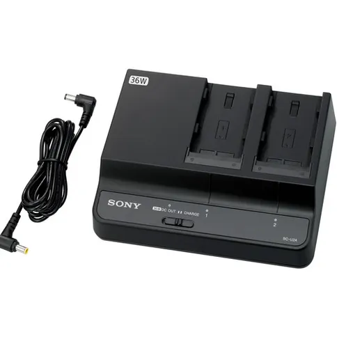 sony_twin_battery_charger_for_bp-u_batteries_1.jpg