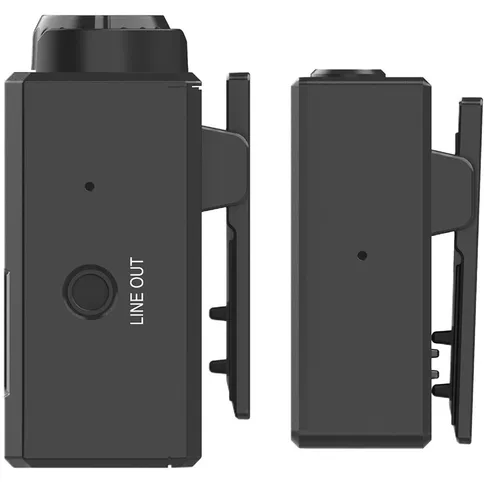 lark-5.jpg