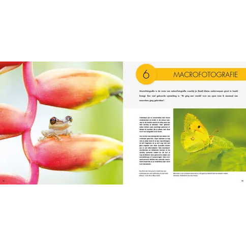 Macrofotografie_Natuurfotografie_voor_Uilskuikens.jpg