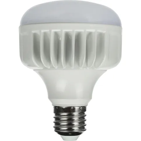 StudioKing-LED-Daglichtlamp-25W-E27-FLED-25_1.jpg