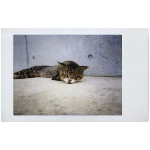 Lomography-Instant-Automat-Lenses-Henry-Steiner-NEW_9.jpg