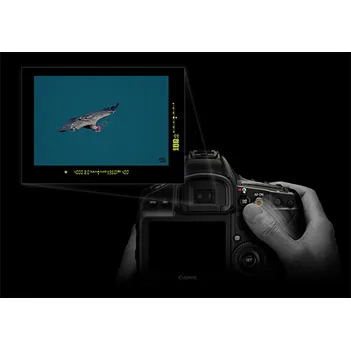 EOS 1DX Mark III_UIcut1[1].jpg