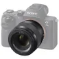 SONY-FE-50MM-F1.8-5.jpg