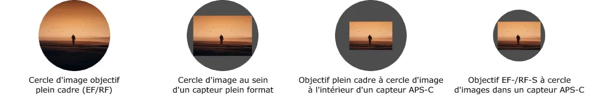 Foto_2_canon_ef_rf_lenzen_pagina_FR.jpg