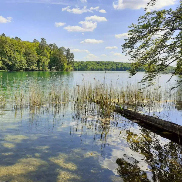 brandenburg-14-stechlinsee.jpg