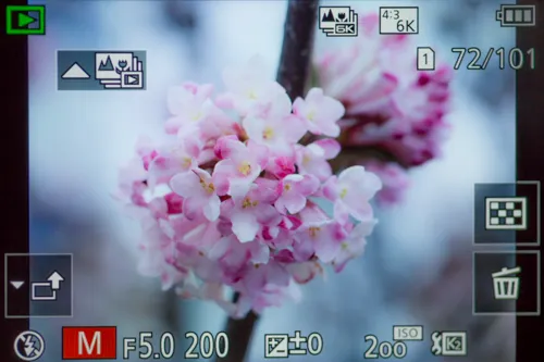 HN0A6386.jpg