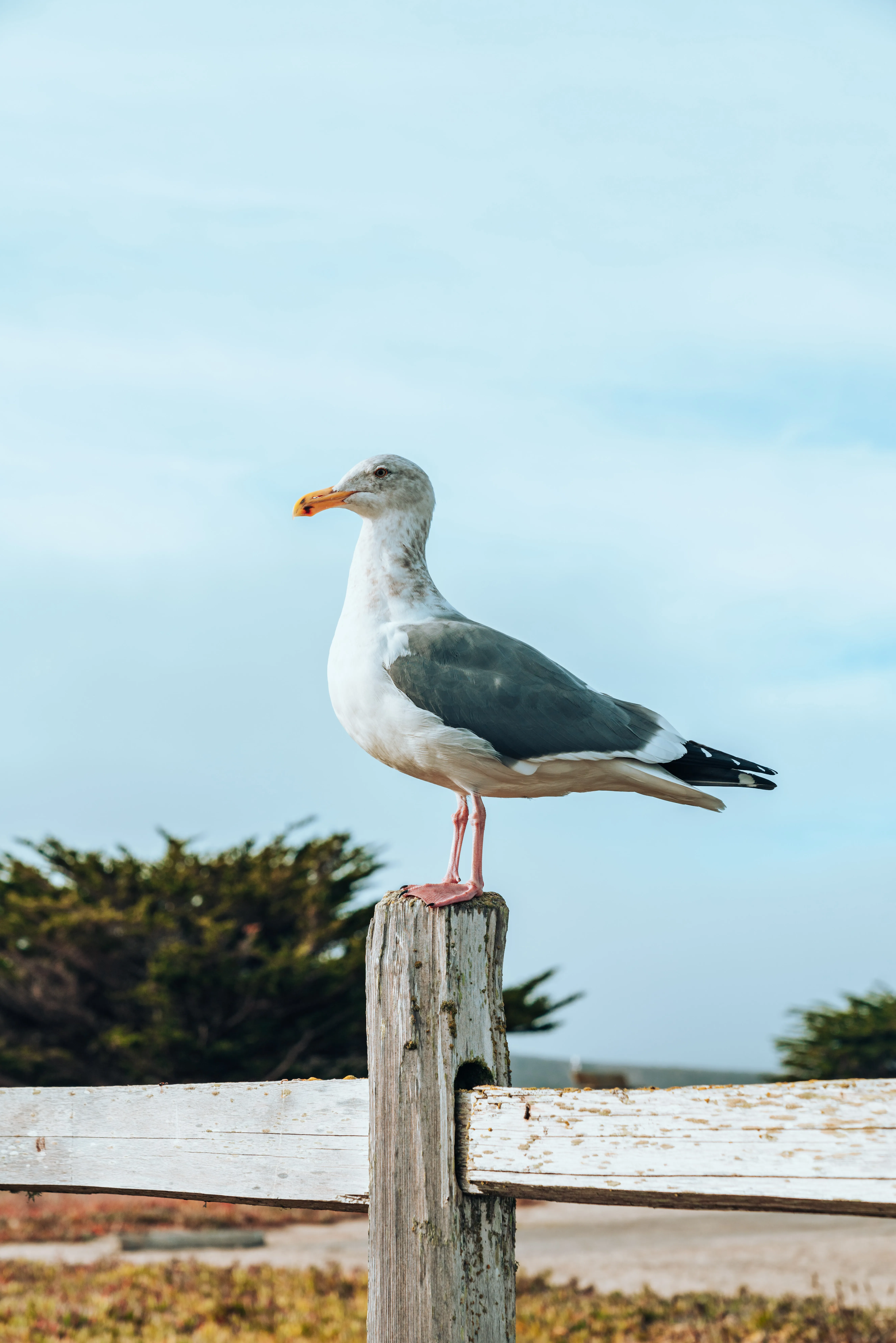 meritt-thomas-I4cSP5wWafE-unsplash.jpg
