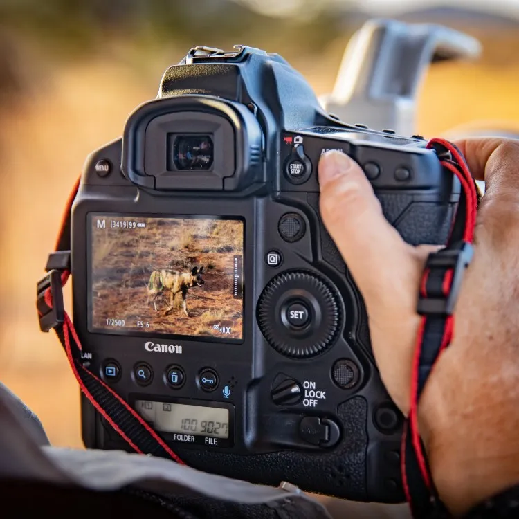 EOS 1DX Mark III_Kalahari_Lifestyle_34.jpg