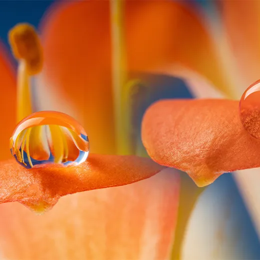 ke_SummerDeals_inspiratie_macro.png