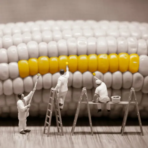 Macro-miniaturen.jpg