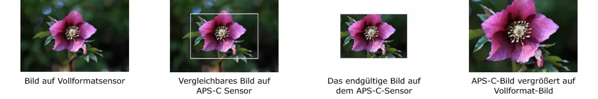 Foto_1_canon_ef_rf_lenzen_pagina_DE.jpg