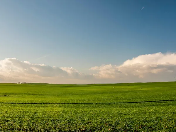 geschikte_statieven_landschappen_fotografie.jpg