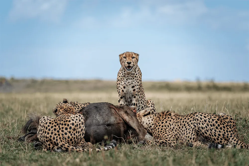 Sony-Chris-Schmid-Afrika-foto1.png