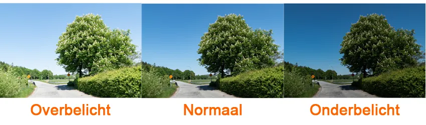 Studio_abc_onder-overbelichting.png
